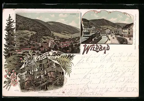 Lithographie Wildbad, Totalansicht, Strassenpartie