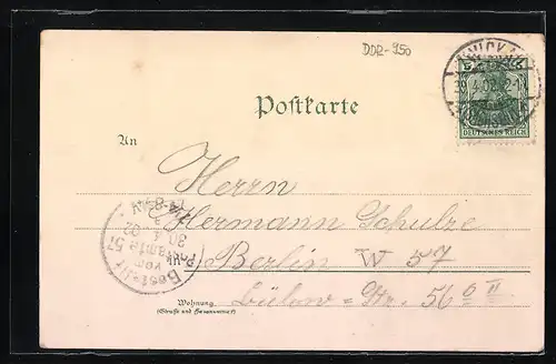 Lithographie Zwickau, Hauptmarkt, Schwanenteich und Marienkirche