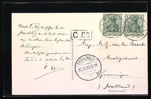 AK Alf a. d. Mosel, Pension Waldfrieden mit Dependance