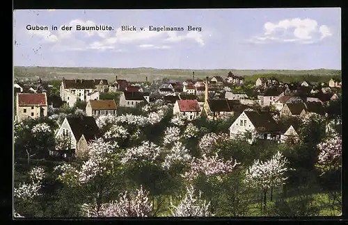 AK Guben, Ortsansicht in der Baumblüte mit Blick auf Engelmanns Berg