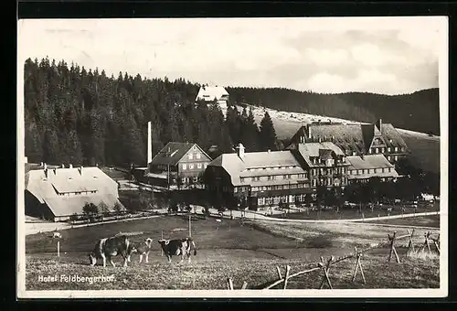 AK Feldberg /Schwarzw., Hotel Feldbergerhof mit Umgebung