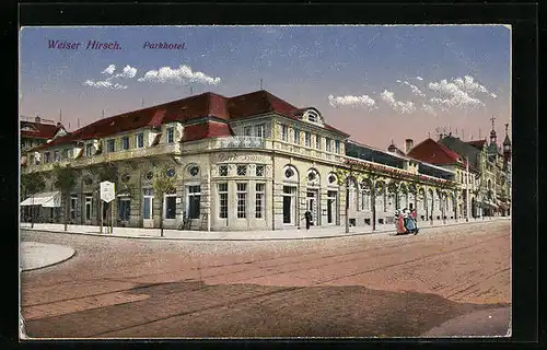 AK Dresden-Weisser Hirsch, Parkhotel mit Strasse