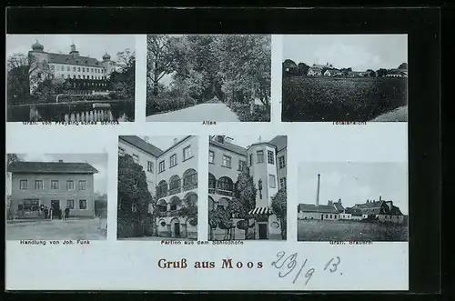 AK Moos, Allee, Totalansicht, Schlosshof, Handlung von Joh. Funk