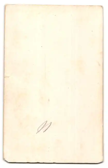 Fotografie unbekannter Fotograf und Ort, Ungarisches Ministerium 1867, Graf Andrassy, Horvath, Bela Wenckheim, Lonyai 1