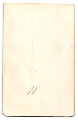 Fotografie unbekannter Fotograf und Ort, Ungarisches Ministerium 1867, Graf Andrassy, Horvath, Bela Wenckheim, Lonyai