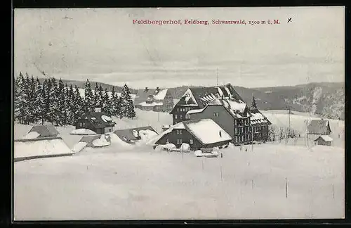 AK Feldberg /Schwarzwald, Hotel Feldbergerhof im Schnee