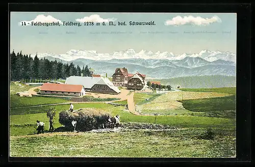 AK Feldberg /Bad. Schwarzwald, Feldbergerhof mit Bergkulisse