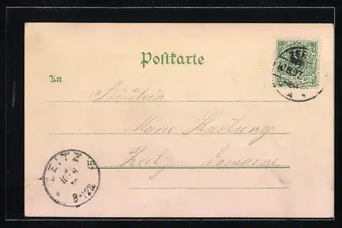 Lithographie Zerbst, Markt mit Rathaus, Schloss, Ortsansicht