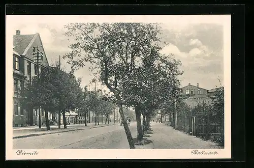 AK Diemitz, Partie der Berlinerstrasse