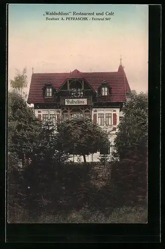 AK Naumburg /Saale, Restaurant und Cafe Waldschloss von A. Petraschk