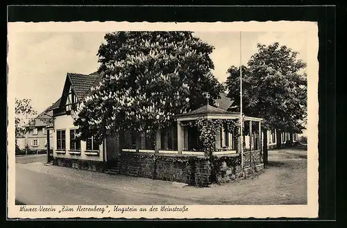 AK Ungstein /Weinstrasse, Gaststätte Winzer-Verein Zum Herrenberg L. Weihl, Strassenansicht
