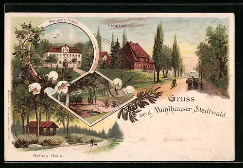 Lithographie Mühlhausen, Peterhof, Weisses Haus, Rothes Haus, Spittelbrunnen