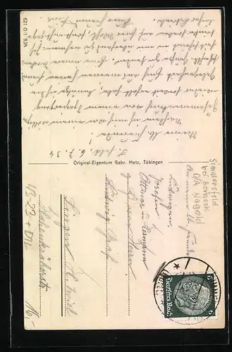 AK Simmersfeld, Stadttyp Fleckenvetter-Michel