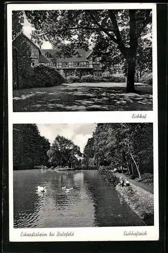 AK Eckardtsheim, Eichhof und Eichhofteich