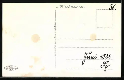 AK Rauschen / Ostsee, Steilküste