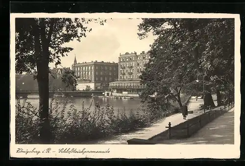 AK Königsberg i. Pr., Schlossteichpromenade