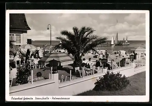 AK Grömitz / Ostsee, Restaurant Strandhalle, Palmenterrasse