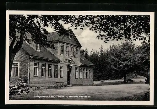 AK Stützerbach / Thür. Wald, Gasthaus Auerhahn