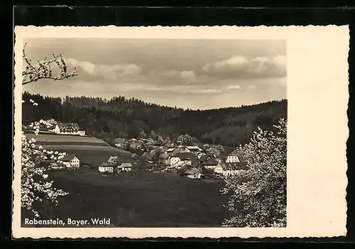 AK Rabenstein / Bayer. Wald, Gesamtansicht