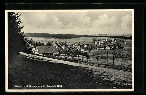AK Buntenbock / Harz, Gesamtansicht