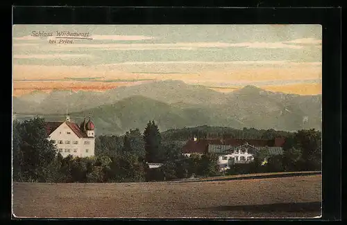 AK Wildenwart, Ortspartie mit Schloss Wildenwart