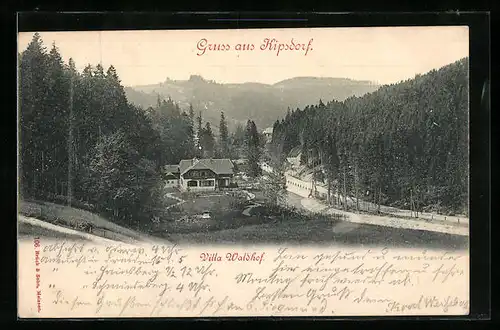 AK Kipsdorf, Villa Waldhof