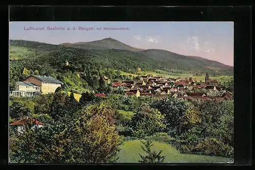 AK Seeheim a. d. Bergstrasse, Ortsansicht mit Melibocusblick