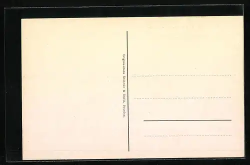 AK Trier, Ortspartie an der Napoleon-Brücke