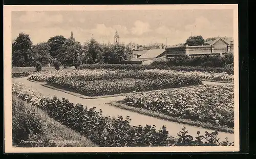 AK Meerane i. Sa., Blick zur Kirche vom Rosarium aus