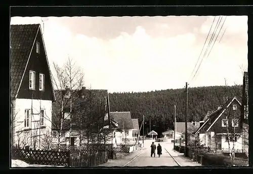 AK Schulenberg im Oberharz, Stadthäuser am Birkenweg