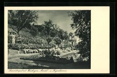 AK Bad Gleisweiler, Sanatorium, Sonnentempel mit Weinbergen, Mandel- und Feigenbäume