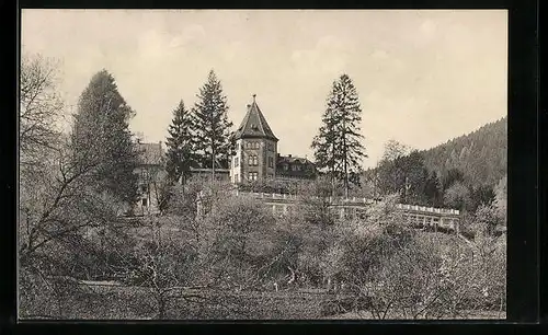 AK Neckargemünd, Blick hinauf zum Kümmelbacher Hof
