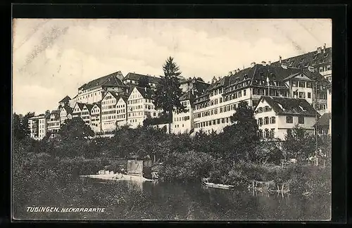 AK Tübingen, Neckarpartie unter der Stadt, Blick hinauf zum Schloss