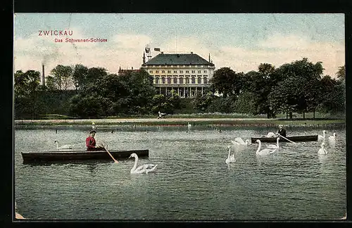 AK Zwickau, Ruderboote am Schwanen-Schloss