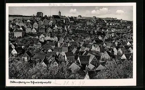 AK Altensteig, Generalansicht der Stadt