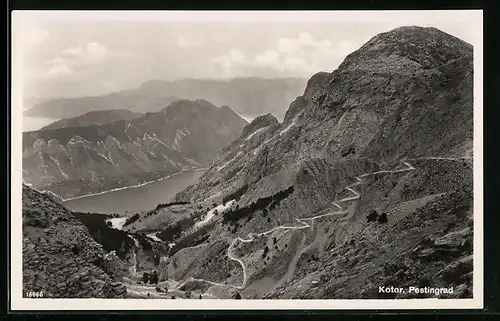 AK Kotor, Pestingrad