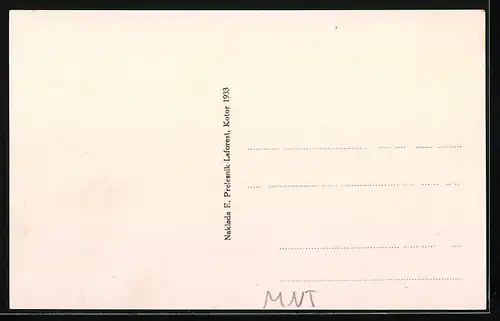 AK Kotor, Pestingrad