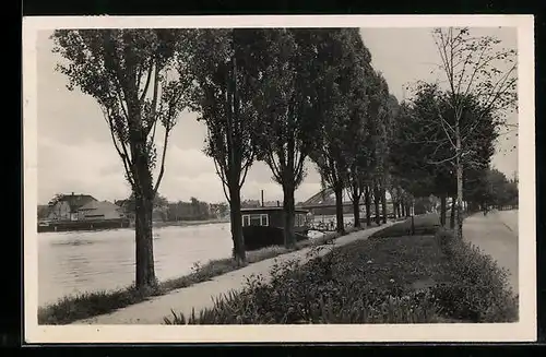 AK Alsleben /Saale, Anlagen an der Saale