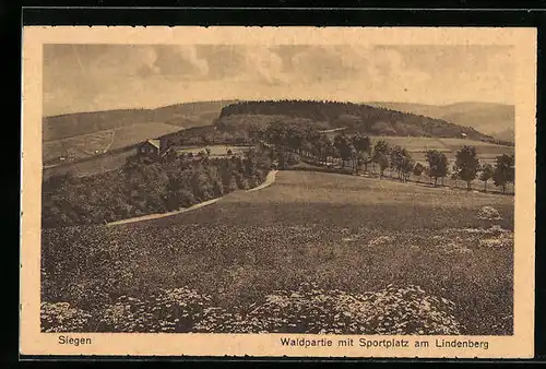 AK Siegen, Waldpartie mit Sportplatz am Lindenberg