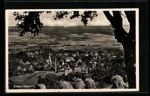 AK Erbach im Odenwald, Totalansicht von einer Anhöhe aus