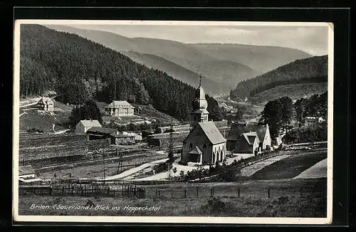 AK Brilon (Sauerland), Blick ins Hoppecketal