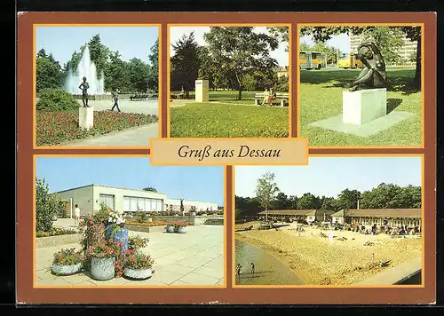 AK Dessau, Stadtpark, Friedensplatz, Waldbad Freundschaft, Strandbad Adria