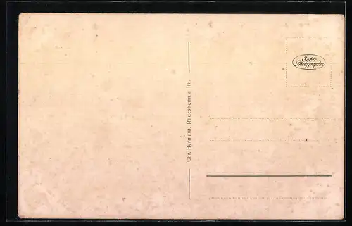 AK Rüdesheim a. Rh., Rheinstrasse mit Restaurant Zur Krone