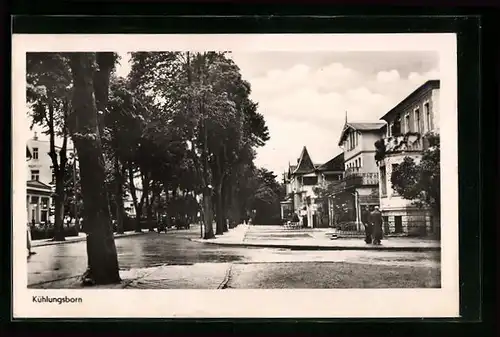 AK Kühlungsborn, auf der Strasse vor den Stadtvillen