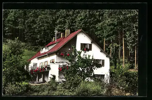 AK Warmensteinach / Fichtelgebirge, Pension Haus Preissinger