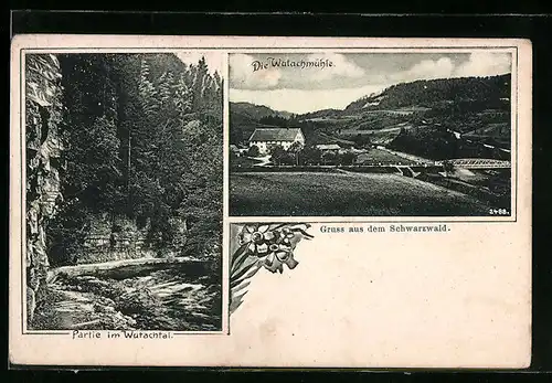 AK Ewattingen / Schwarzwald, Wutachmühle und Wutachtal