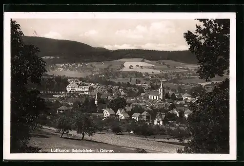 AK Reichelsheim i. Odenw., Totale vom Berg aus gesehen