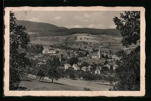 AK Reichelsheim / Odenwald, Totale vom Berg aus gesehen