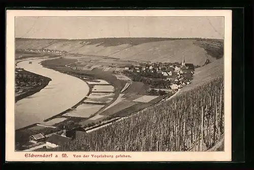 AK Volkach a. M., Blick von der Vogelsburg auf Escherndorf und Köhler