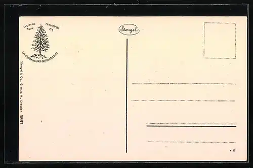 AK Schierke / Harz, Teilansicht aus der Vogelschau